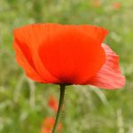 La Grande Mode - Tendances 2018 mode du printemps