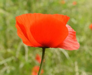 La Grande Mode - Tendances 2018 mode du printemps