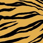 La Grande Mode - H&M Studio & Zara Studio : les 8 pièces à shopper illico - Tendance Mode SS2019 Printemps Eté 2019