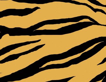 La Grande Mode - H&M Studio & Zara Studio : les 8 pièces à shopper illico - Tendance Mode SS2019 Printemps Eté 2019